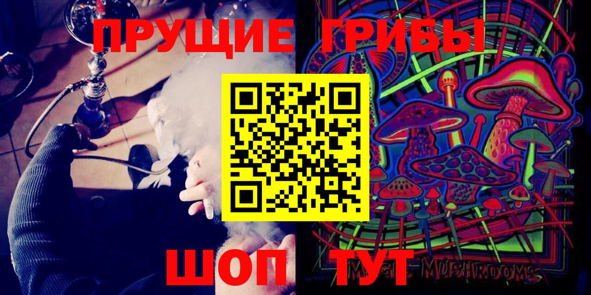 Псилоцибиновые грибы Psilocybe Коркино