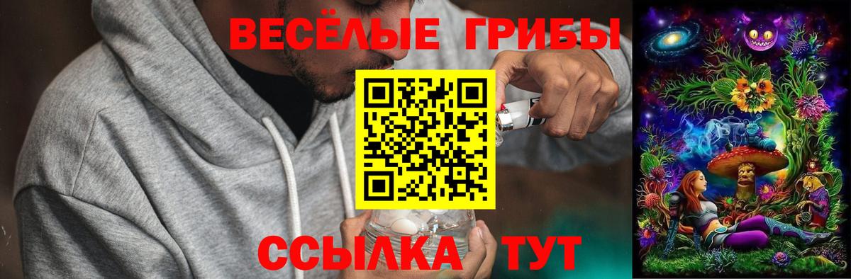 Коркино  Галлюциногенные грибы GOLDEN TEACHER  Галлюциногенные грибы мицелий  Вход с VPN 
